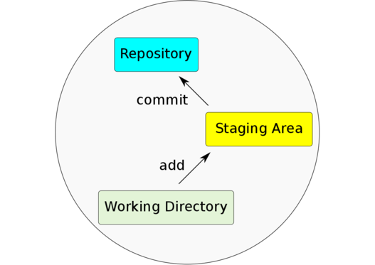 Files are added from the working directory, which always holds the current version of your files, to the staging area. Staged files will be stored into the repository in the next commit. The repository itself contains all previous versions of all files ever committed.
